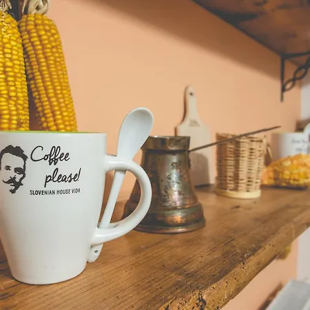 Bed & Breakfast Slovenian House Vida Lubiana