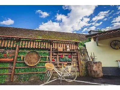 Slovenian House Vida Bed & Breakfast 3*